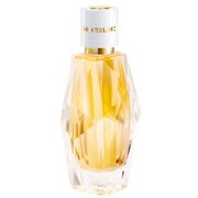 Mont Blanc Signature Absolue Eau de Parfum Parfumska voda