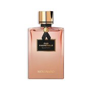 Molinard Oud Magnetique Parfumska voda