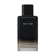 Roccobarocco My Sir Parfumska voda