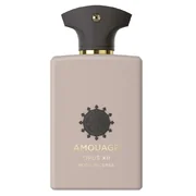 Amouage Opus XII Rose Incense Parfumska voda