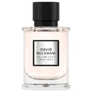 David Beckham Follow Your Instinct Eau de Parfum Parfumska voda 50ml