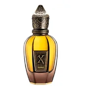 Xerjoff Tempest Parfumska voda - Tester