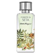 Salvatore Ferragamo Foreste Di Seta Parfumska voda 100ml