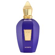 Xerjoff Accento Eau de Parfum Parfumska voda 100ml