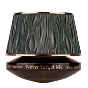 Maison Asrar Never Forget Me Parfumska voda