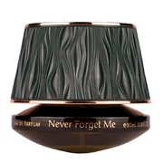 Maison Asrar Never Forget Me Parfumska voda 90ml