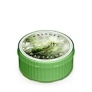 Dišeča sveča Kringle Candle Balsam Fir (35 g)