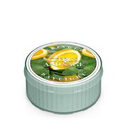 Dišeča sveča Kringle Candle CITRUS & SAGE (35 g)
