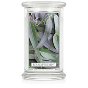 Kringle Candle Eucalyptus Mint velika dišeča sveča z 2 stenjema (624 g)