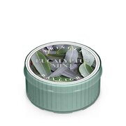 Dišeča sveča Kringle Candle Eucalyptus Mint (35 g)