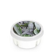 Dišeči vosek Kringle Candle Eucalyptus Mint (35 g)