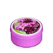 Dišeča sveča Kringle Candle Fresh Lilac (35 g)