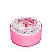 Kringle Candle Dišeča sveča Peony (35 g)