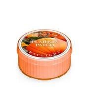 Dišeča sveča Kringle Candle Pumpkin Patch (35 g)