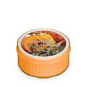 Dišeča sveča Kringle Candle Pumpkin Sage (35 g)