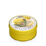 Dišeča sveča Kringle Candle Rosemary Lemon (35 g)