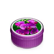 Dišeča sveča Kringle Candle Sweet Pea (35 g)