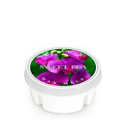 Dišeči vosek Kringle Candle Sweet Pea (35 g)