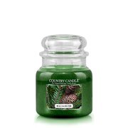 Country Candle Balsam Fir srednja 2 stenjska dišeča sveča (453 g)