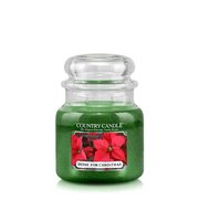 Country Candle Home for Christmas dišeča sveča medium 2-wick (453 g)