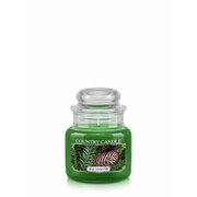 Country Candle Balsam Fir dišeča sveča mini 1 stenj (104 g)