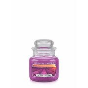 Country Candle Dišeča sveča Country Lavender mini 1 stenj (104 g)