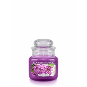 Country Candle Fresh Lilac dišeča sveča mini 1 stenj (104 g)