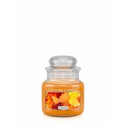 Mini dišeča sveča Country Candle Leaves 1 stenj (104 g)