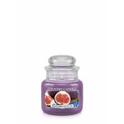 Country Candle Mediterranean Fig dišeča sveča mini 1 stenj (104 g)