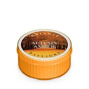 Dišeča sveča Kringle Candle Autumn Amber (35 g)