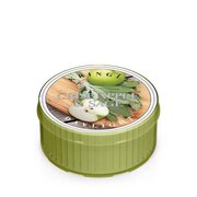 Dišeča sveča Kringle Candle Crisp Apple & Sage (35 g)