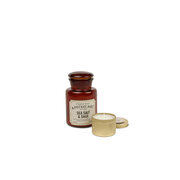 Dišeča sveča Paddywax Apothecary SEA SALT & SAGE (8 oz / 226 g)