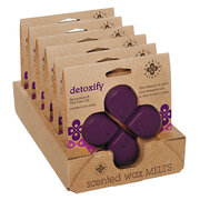 ROOT CANDLES Seeking Balance vosek DETOXIFY / DETOX