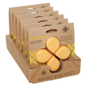 ROOT CANDLES Seeking Balance vosek ENLIGHTEN / RAZSVETLJENJE