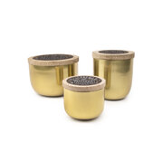 Paddywax FOUNDRY VERBENA & PATCHOULI zlata dišeča sveča v kovinski embalaži (18oz / 510g)