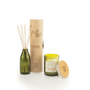 Paddywax Eco Green BLOOD ORANGE & BERGAMOT difuzor (4 oz / 118 ml)