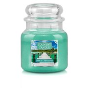 Country Candle Citrus & Seagrass medium 2-stenj dišeča sveča (453 g)