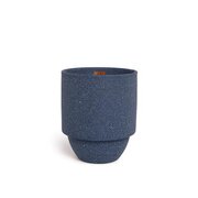 Paddywax Parks ACADIA SEAGRASS & DRIFWOD (11 oz / 311 g)