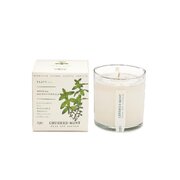 Dišeča sveča KOBO Plant the Box Crushed Mint (10 oz / 283 g)