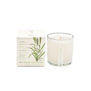 Dišeča sveča KOBO Plant the Box Fresh Cut Grass (10 oz / 283 g)