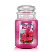 Country Candle Hibiscus velika 2 stenjeva dišeča sveča (652 g)