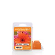 Dišeči vosek Country Candle Sunshine & Daisies (64 g)