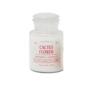 Dišeča sveča Paddywax FARMHOUSE Cactus Flower (8oz /226g)