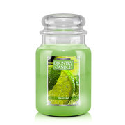 Country Candle Sparkling velika dišeča sveča z 2 stenjema (652 g)