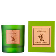 Vila Hermanos Aromathologie Dišeča sveča z rožmarinom 200 g