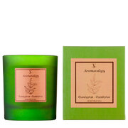 Vila Hermanos Aromathologie Eucalyptus dišeča sveča 200 g