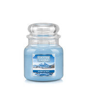 Country Candle Alpine Retreat srednja 2 stenjeva dišeča sveča (453 g)