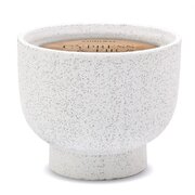 Dišeča sveča Paddywax Cypress & Fir v keramičnem kozarcu (14 oz/396 g)