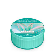 Dišeča sveča Kringle Candle Agave Pastel (42 g)
