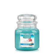 Country Candle Paradise Breeze dišeča sveča srednje velikosti 2 stenja (453 g)